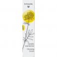 DR.HAUSCHKA Gesichtswaschcreme Frühjahr 2024