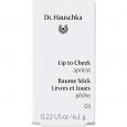 DR.HAUSCHKA Lip to Cheek 01 apricot