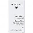 DR.HAUSCHKA Lip to Cheek 03 rosewood