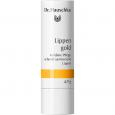 DR.HAUSCHKA Lippengold