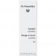 DR.HAUSCHKA Lipstick 03 camellia