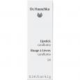 DR.HAUSCHKA Lipstick 14 caralluma