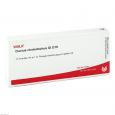 DUCTUS CHOLEDOCHUS GL D 15 Ampullen
