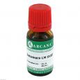 DULCAMARA LM 18 Dilution