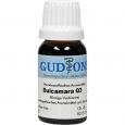 DULCAMARA Q 3 Lösung