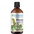 EBERRAUTE Artemisia abrotanum Tinktur