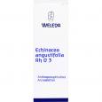 ECHINACEA ANGUSTIFOLIA Rh D 3 Dilution