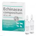 ECHINACEA COMPOSITUM ad us.vet.Ampullen