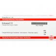 ECHINACEA D 12 Ampullen