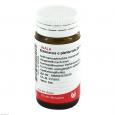 ECHINACEA E planta tota D 3 Globuli