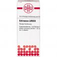 ECHINACEA LM XXX Dilution Ind.Fert.