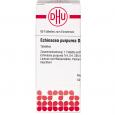 ECHINACEA PURPUREA D 4 Tabletten
