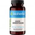 ECHTE Bärentraube 230 mg Kapseln