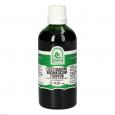ELECTUARIUM Aromaticum Tropfen zum Einnehmen