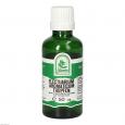 ELECTUARIUM Aromaticum Tropfen zum Einnehmen