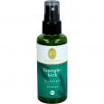 ENERGIEKICK Raumspray Bio