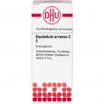 EQUISETUM ARVENSE C 5 Globuli Ind.Fert.