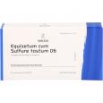 EQUISETUM CUM Sulfure tostum D 6 Ampullen