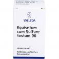 EQUISETUM CUM Sulfure tostum D 6 Trituration