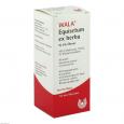 EQUISETUM EX Herba W 5% Oleum