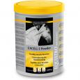 EQUISTRO Excell E Powder Erg.Futterm.Plv.f.Pferde
