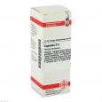 ESPELETIA D 2 Dilution