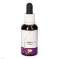 ESSENCE of Clarity Mischung austr.Living Essenzen