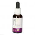 ESSENCE of Energy Mischung austr.Living Essenzen