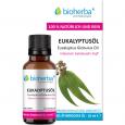 EUKALYPTUS ÖL ätherisch