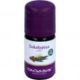 EUKALYPTUS ÖL Radiata Bio