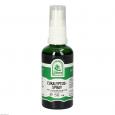 EUKALYPTUS SPRAY