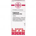 EUPATORIUM PERFOLIATUM D 10 Tabletten