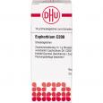 EUPHORBIUM C 200 Globuli