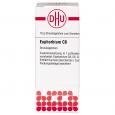 EUPHORBIUM C 6 Globuli Ind.Fert.