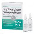 EUPHORBIUM COMPOSITUM ad us.vet.Ampullen