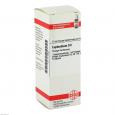 EUPHORBIUM D 6 Dilution