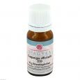 EUSPONGIA OFFICINALIS D 30 Globuli