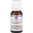 EUSPONGIA OFFICINALIS D 4 Globuli