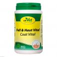 FELL UND HAUT Vital vet.