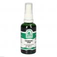 FENCHELHOLZ Spray