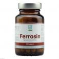 FERROSIN Eisen 14 mg Kapseln