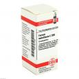 FERRUM METALLICUM C 200 Globuli