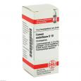 FERRUM METALLICUM D 10 Globuli