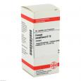 FERRUM METALLICUM D 12 Tabletten