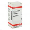 FERRUM METALLICUM D 3 Tabletten