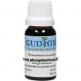 FERRUM PHOSPHORICUM Q 20 Lösung