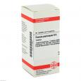FERRUM PICRINICUM D 6 Tabletten