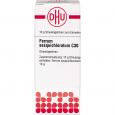 FERRUM SESQUICHLORATUM C 30 Globuli