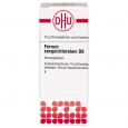 FERRUM SESQUICHLORATUM D 6 Globuli Ind.Fert.