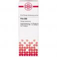 FILIX D 30 Dilution